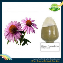 Echinacea Herb P. E., Echinacea Purpurea Extract